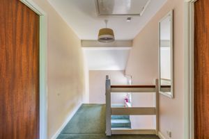 Photo 15- click for photo gallery